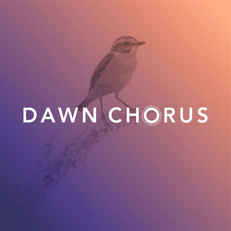 Dawn Chorus - The Chorus - Citizen Science