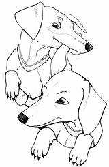 Coloring Pages Of Weiner Dogs sketch template