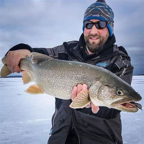 10 Best Ice Fishing Lures for Lake Trout ⋆ Tackle Scout