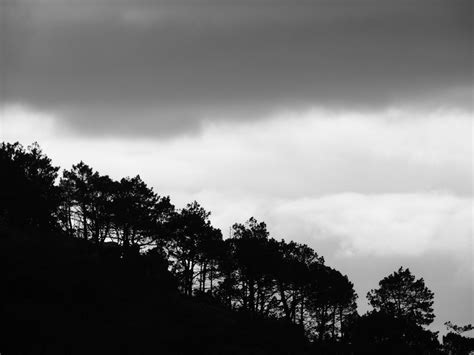 Parque Natural de Sintra-Cascais, near Lisbon | Steve Hobson | Flickr