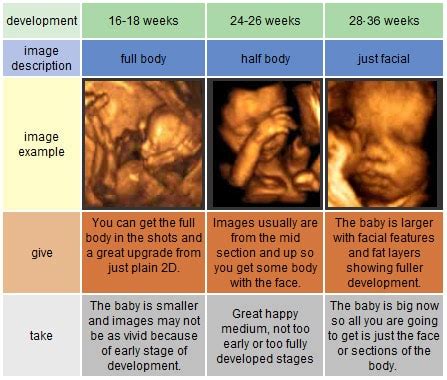 Ultrasound FAQs - Baby's First Images Ultrasound