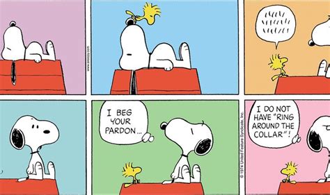 Today on Peanuts - Comics by Charles Schulz - GoComics | Snoopy cartoon ...