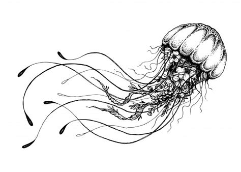 Jellyfish Silhouette Vector at Vectorified.com | Collection of Jellyfish Silhouette Vector free ...