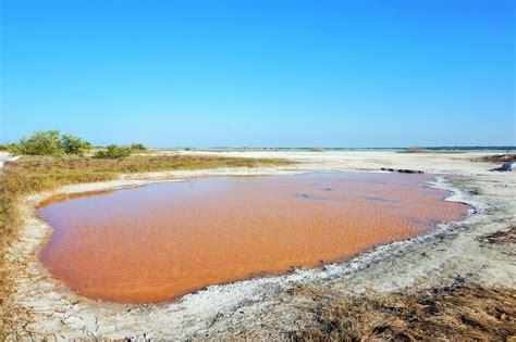 The Amazing Pink Lakes of Las Coloradas in Mexico | Apenoni.com