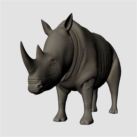 Rigged-Animated Rhino 3D model animated rigged | CGTrader