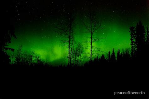 "Cold Dark Green Night" by peaceofthenorth | Redbubble