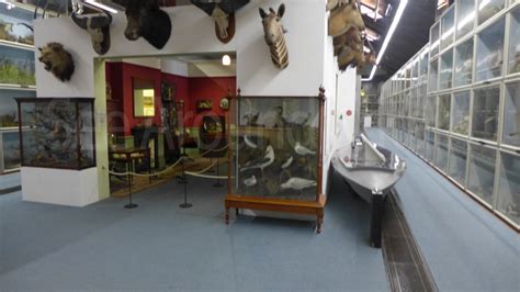 The Booth Museum of Natural History, Brighton, Sussex - See Around Britain