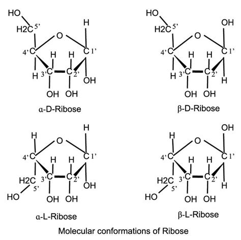 Ribose - Laboratory Notes