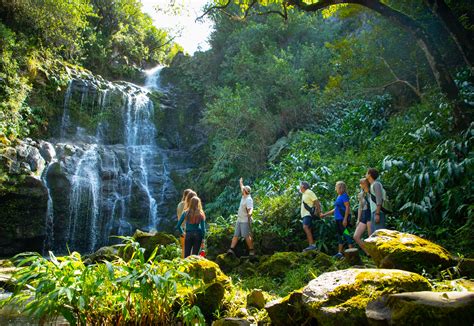 Hawaii Forest & Trail | Go Hawaii