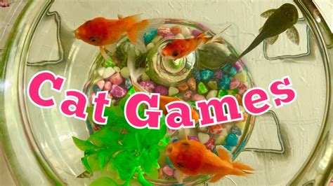 Fish games for Cat/Kitten - YouTube