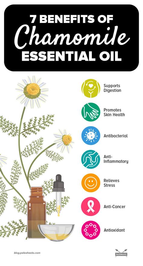 7 Health Benefits of Chamomile Essential Oil & How to Use It