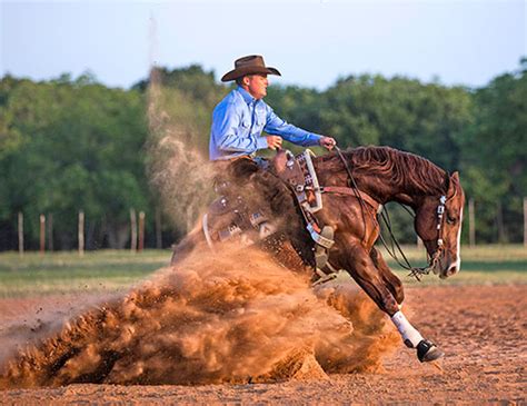 Road To The Horse | Clinton Anderson