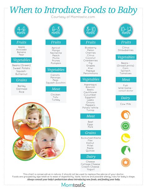 Introducing Solids: A Month-by-Month Schedule | Baby food recipes, Baby food chart, Baby fruit