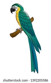 7,017 Green Macaw Drawing Images, Stock Photos & Vectors | Shutterstock