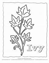 Ivy Coloring Page Name Pages sketch template