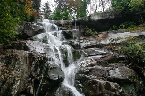 Learn About Hiking to Ramsey Cascades in the Smoky Mountains