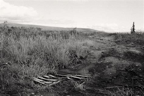 Walking the Stampede Trail, Alaska. | Smithsonian Photo Contest | Smithsonian Magazine