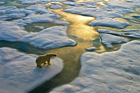 Responding to the currents of climate change issues | Insight