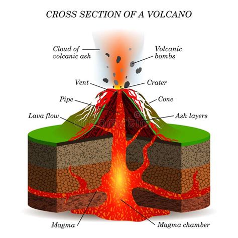 Volcano Igneous Eruption in the Cross Section. Education Scientific ...