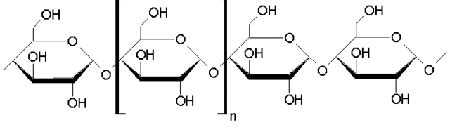 Starch | Definition, Structure & Function - Lesson | Study.com