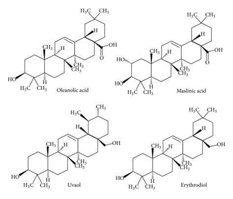 Chemical structure of oleanolic acid, maslinic acid, uvaol, and ...