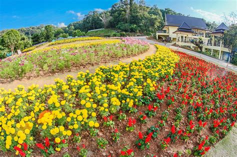 Queen Sirikit Botanic Garden Free Stock Photo - Public Domain Pictures