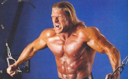 Triple H Workout Routine & Diet Plan - WorkoutInfoGuru