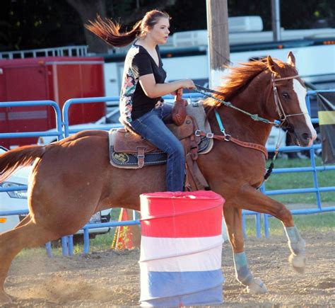 Around the Vermilion County Fair | Hoopeston Chronicle | newsbug.info