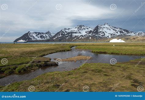 Landscapes of South Georgia Stock Photo - Image of coastal, view: 169599208