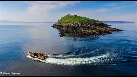 Puffin island powerboat - Anglesey Boat Trips, Beaumaris Traveller Reviews - Tripadvisor