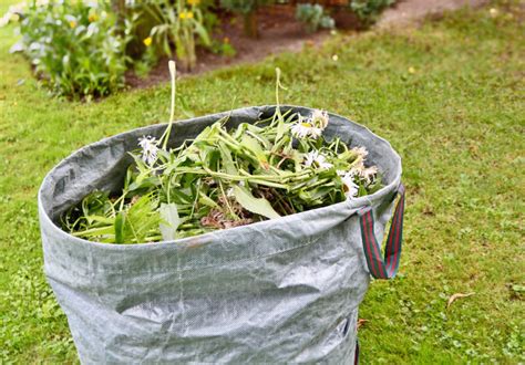 Weed Prevention: How to Prevent Weeds in Your Backyard - Lawn Care - NVS Landscapes