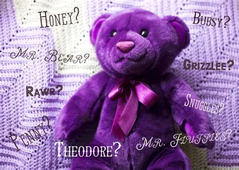 100 Teddy Bear Names - An Everyday Story