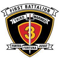 1st Battalion 3rd Marines Families and Friends