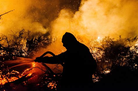 Brazil Pantanal Scorched by Fires - The New York Times SEP 2020 - The ...