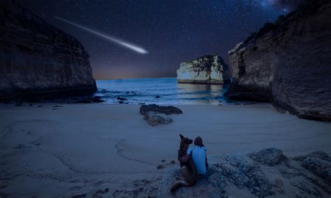 Orionids Meteor Shower 2024