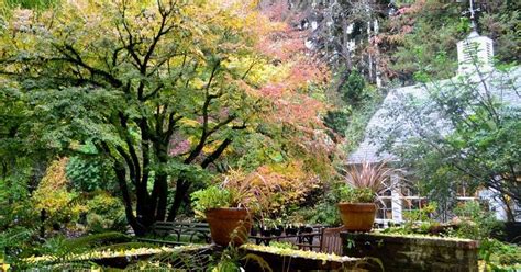 Leach Botanical Gardens, Portland | Roadtrippers