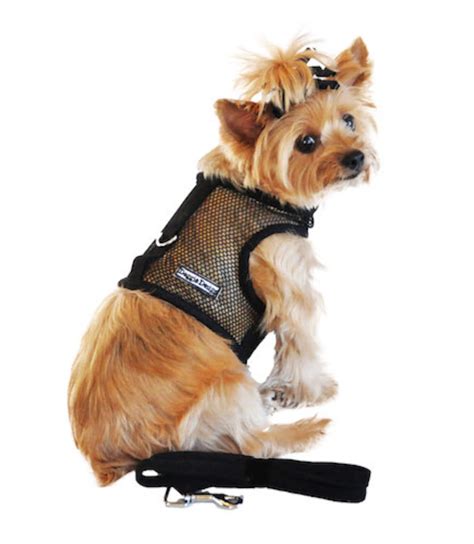 Black Cool Mesh Velcro Dog Harness With Leash - Etsy