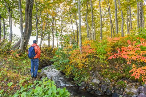 10 of the Best Trails for Hiking in Maine, USA - Flavorverse