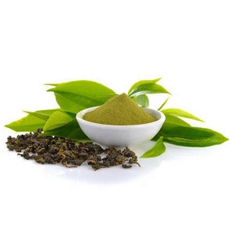 Green Tea Extract, 1 Kg at Rs 600/kilogram in Sonipat | ID: 17501625291