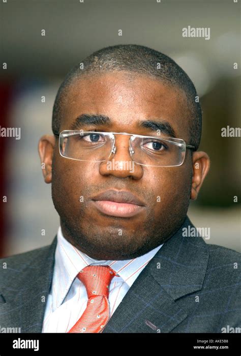 David Lammy MP Stock Photo - Alamy