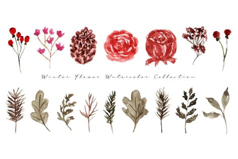 Aesthetic Winter Flower Watercolor Graphic by fathurmutiah · Creative ...