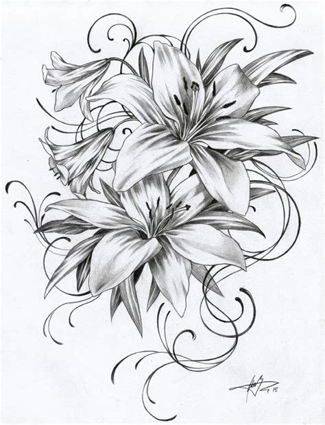 Tiger Lily Flower Tattoo Designs | Best Flower Site