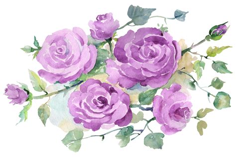 Bouquet with Purple Roses Watercolor Png (Graphic) by MyStocks ...