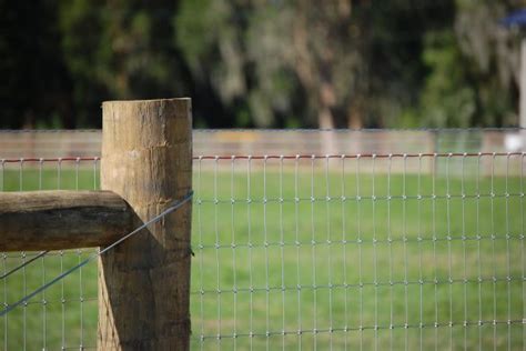 Installing Wire Fence with T-Posts | Red Brand