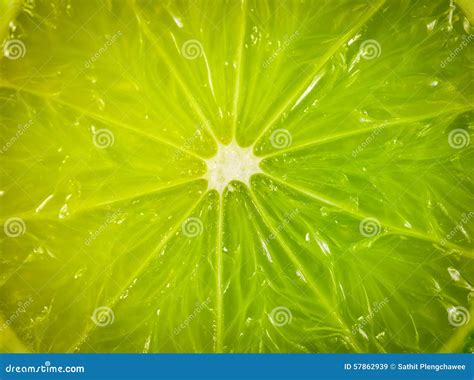 Background of Lime Fruit, Background, Texture Stock Image - Image of ...