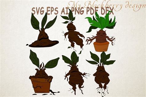 Mandrake Root, Svg, Magical Plant Graphic by talanpluss · Creative Fabrica