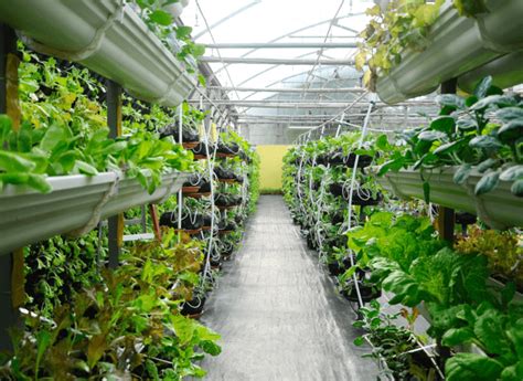 7 urban agriculture start-ups worth keeping an eye on