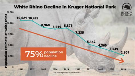 Updated Poaching Numbers from Kruger National Park - International Rhino FoundationInternational ...