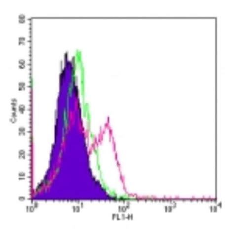 TLR4 (MTS510) FITC - 0.1 MG