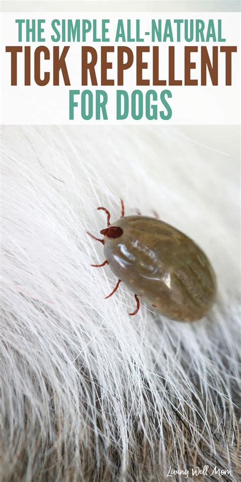 The Simple All-Natural Tick Repellent for Dogs